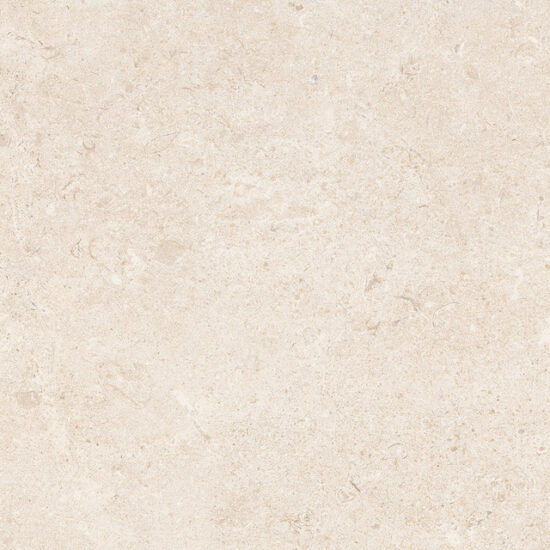 ragno eterna r8hy.jpg