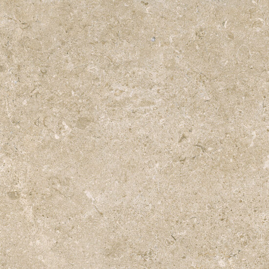 ragno eterna r8j0.jpg