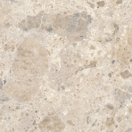 ragno eterna r8jn.jpg