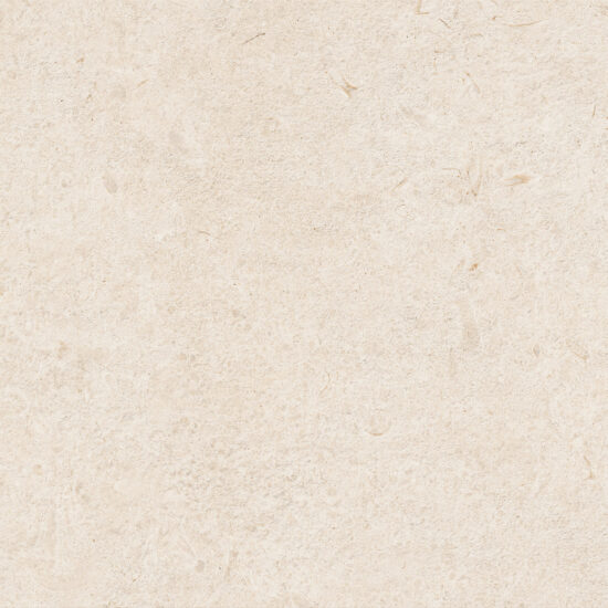 ragno eterna r8k8.jpg