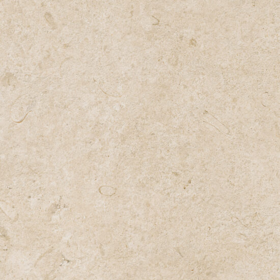 ragno eterna r8kk.jpg