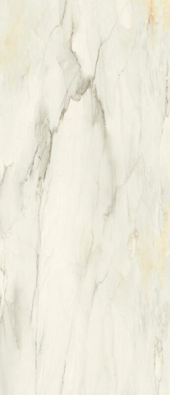 ragno incanto r8nf.jpg