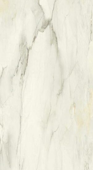 ragno incanto r8nz.jpg