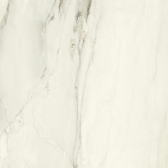 ragno incanto r902.jpg