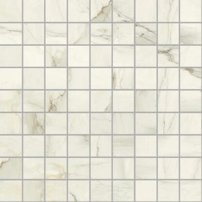ragno incanto r95t.jpg