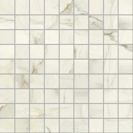 ragno incanto r95t.jpg