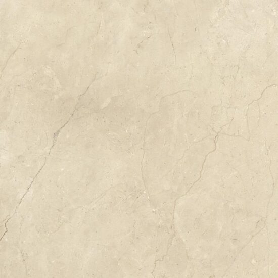 ragno incanto rac3.jpg