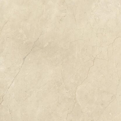 ragno incanto rac9.jpg