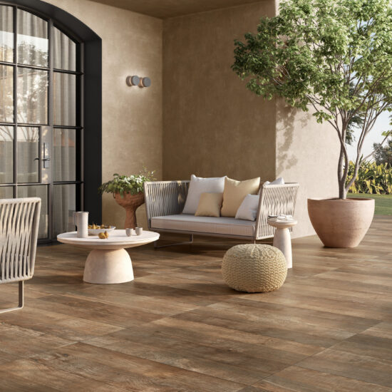 ragno nodis xt20 001.jpg