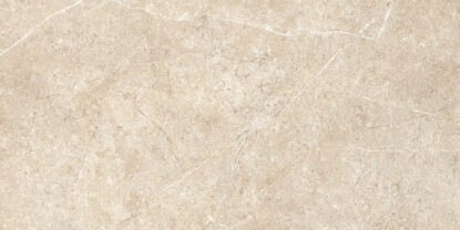 ragno realstone argent r9kx.jpg