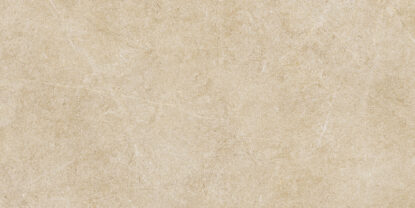 ragno realstone argent r9ky.jpg