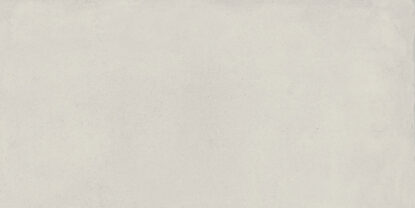 ragno replace r4pf.jpg