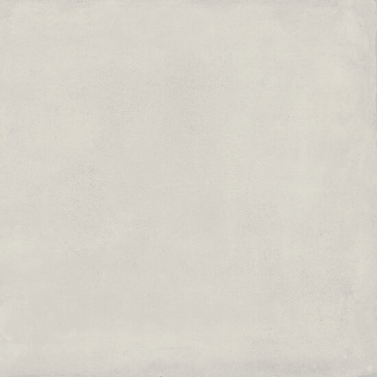 ragno replace r5jf.jpg