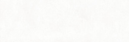 ragno replace r9cl.jpg