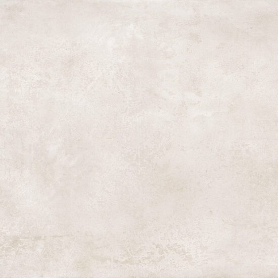 ragno roots r8ma.jpg