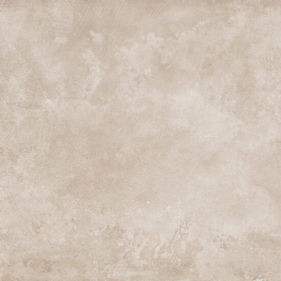 ragno roots r8md.jpg