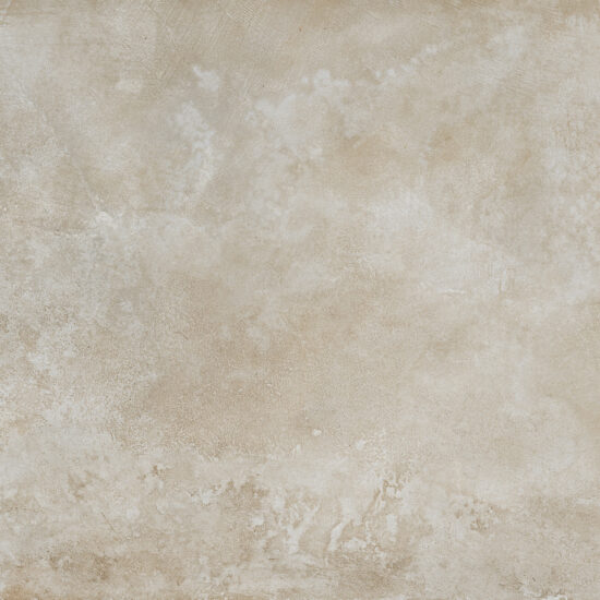 ragno roots r8me.jpg