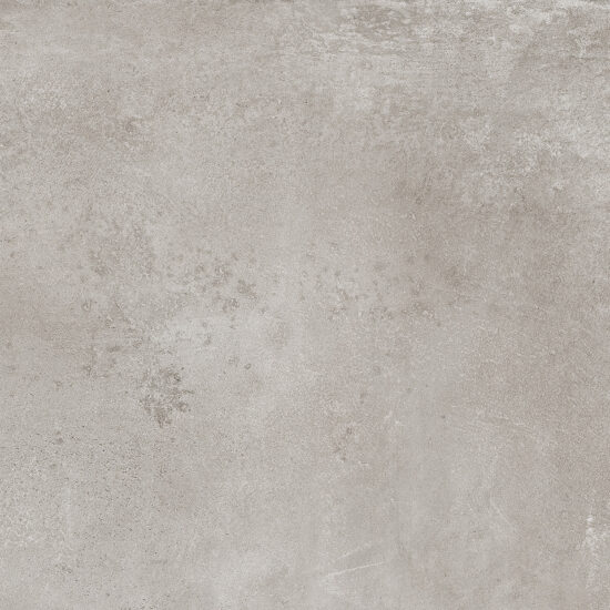 ragno roots r8mn.jpg