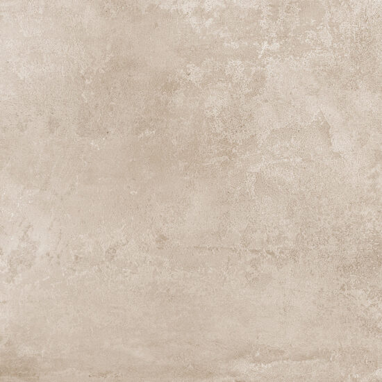 ragno roots r8mp.jpg