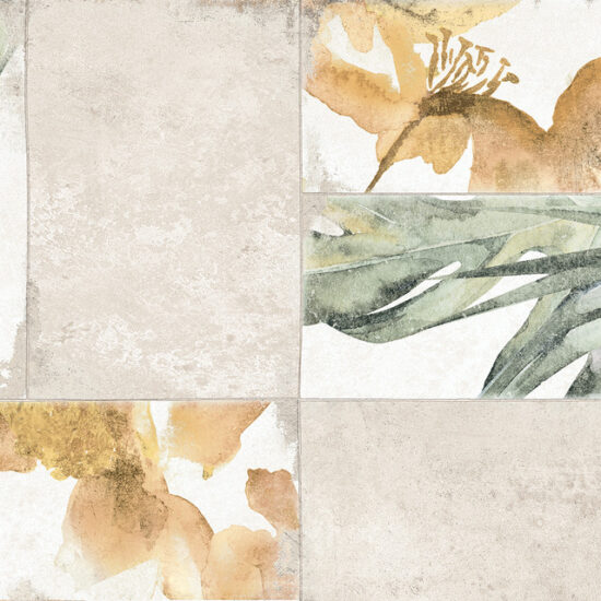 ragno roots r8pm.jpg