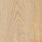 ragno secret rc6m.jpg