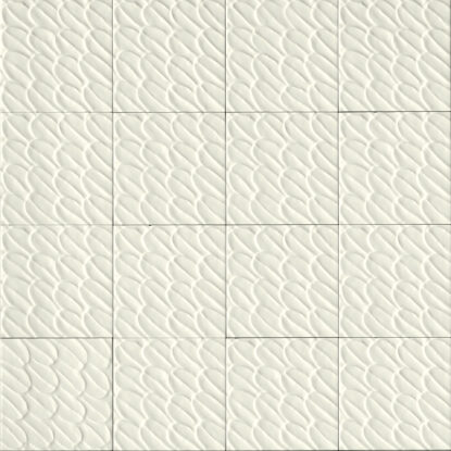 ragno sol r9qv.jpg