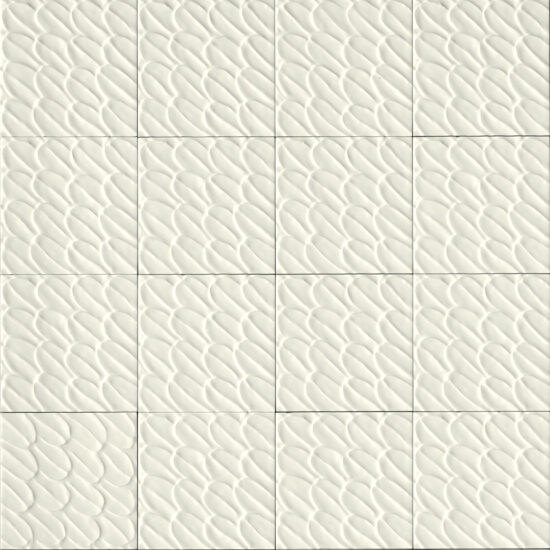 ragno sol r9qv.jpg
