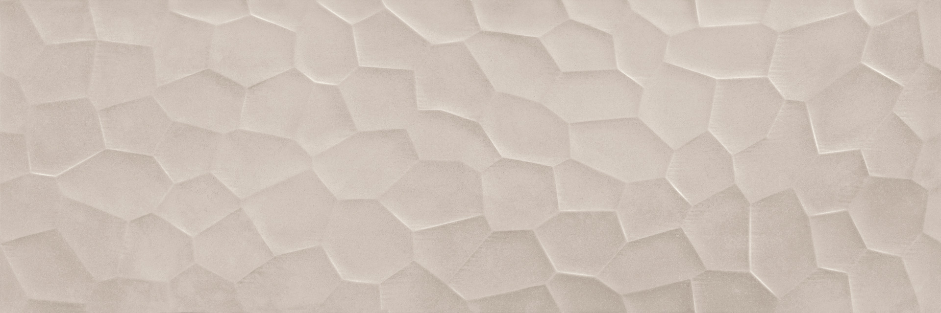 ragno terracruda r657.jpg