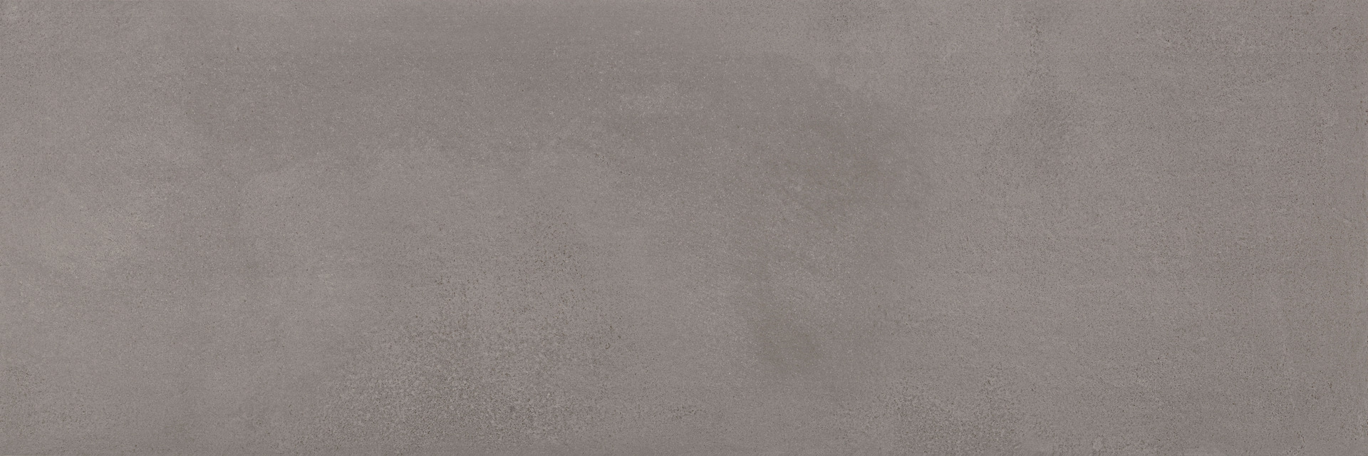 ragno terracruda r74j.jpg