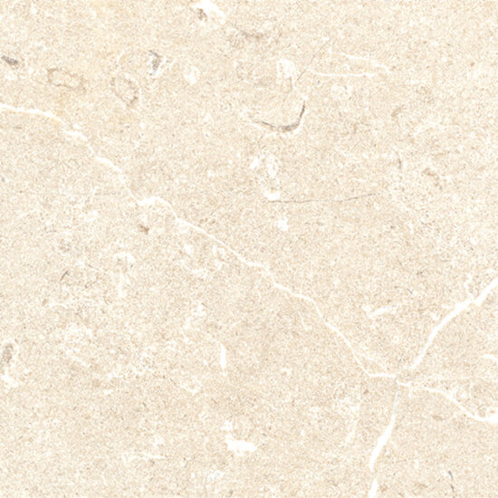 ragno viaggi rcz4.jpg