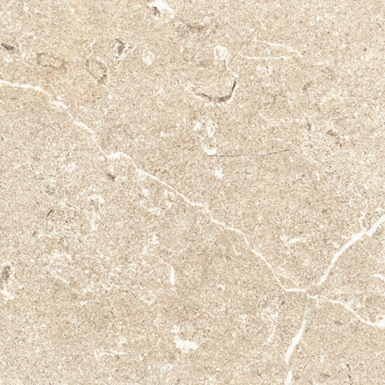 ragno viaggi rcz5.jpg