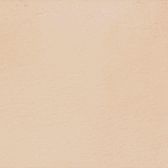 ragno viaggi rcz7.jpg