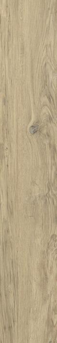 ragno woodclass r76v.jpg