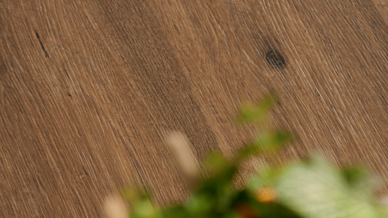 ragno woodtale xt20 004.jpg